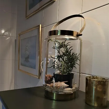 001 Cabomar I Con Vistas Al Mar